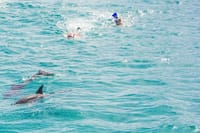 Dolphin House Hurghada