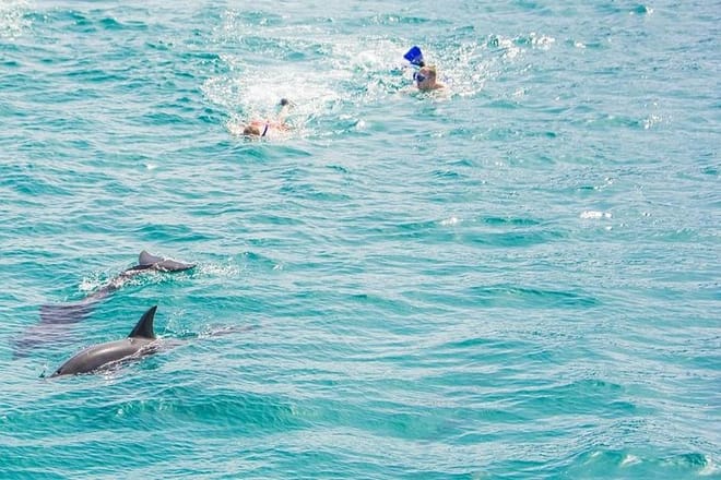 Dolphin House Hurghada