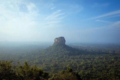 From Colombo: Sigiriya, Dambulla & Safari Day Trip