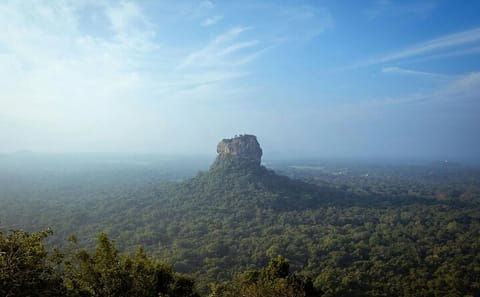 Colombo Day Trip to Sigiriya, Dambulla, and Habarana Safari