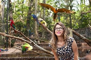 Bird Park & Iguassu Brazilian Side From Puerto Iguazú Hotels - Private Tour