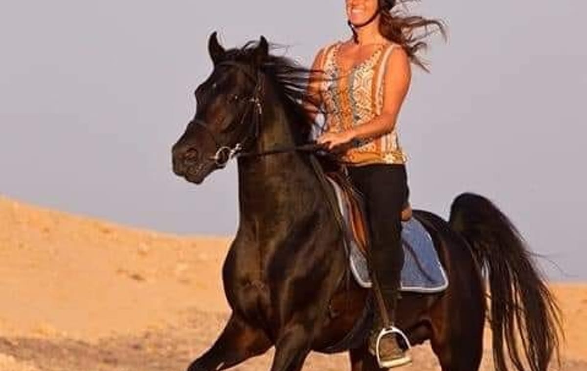 Horseback Riding  Desert and Beach – Hurghada Duration: 2 hours