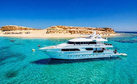 Snorkeling and Diving Tour at Ras Mohammed and White Island