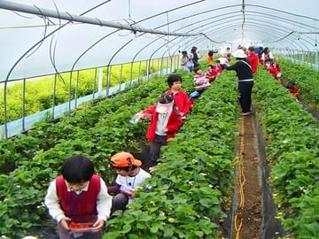 Cultural and Historical Tour of Langbiang and Datanla in Da Lat