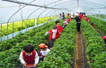 Cultural and Historical Tour of Langbiang and Datanla in Da Lat