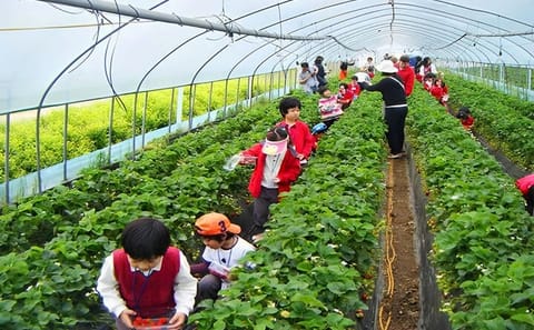 Cultural and Historical Tour of Langbiang and Datanla in Da Lat