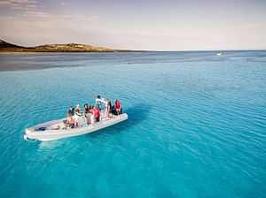 Half-day tour in a dinghy on the Gulf of Asinara from Stintino