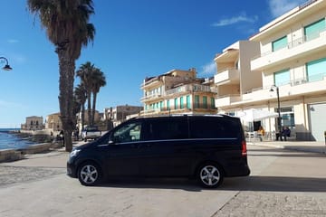 Day Trip to Siracusa and Noto from Catania