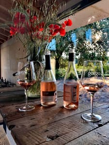 Tour and tasting of 3 organic wines near Custoza