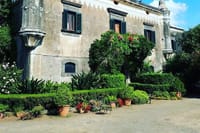 The Godfather Saga from Catania 4