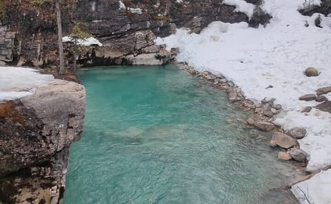 Lake Louise and Marble Canyon Icewalk Tour from Banff