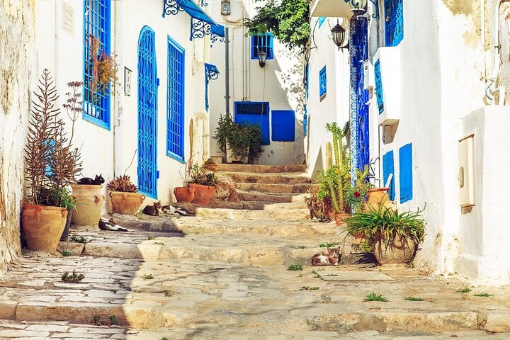 By Hammamet Sidi Bousaid Carthage Medina of Tunis 8