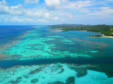 Starfish, coral reef and great staff