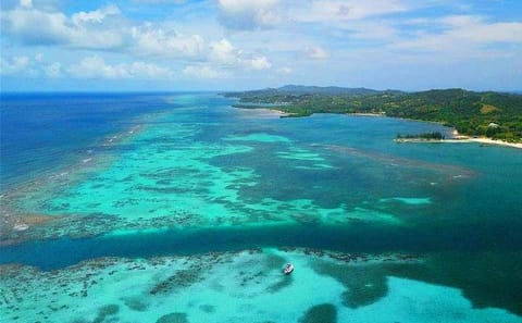 Snorkeling Adventure and Cultural Tour in Punta Gorda, Roatan
