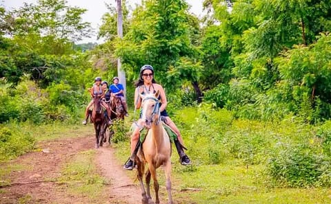 Adventure Combo Tour: Buggy, Horseback, Cenote & Macao Beach in Punta Cana