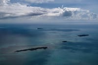 Private Dolphin Watching Experience in Zanzibar  6