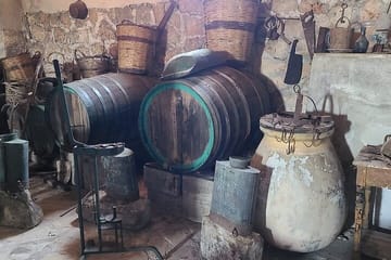 Robola Wine Harvest Tour in Valsamata, Greece