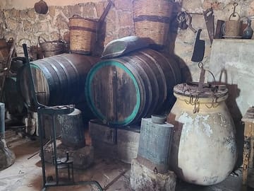 Robola Wine Harvest Tour in Valsamata, Greece