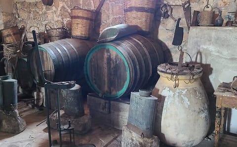 Robola Wine Harvest Tour in Valsamata, Greece