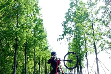 Sunset Cycling Tour at South Taihu Lake from Shanghai