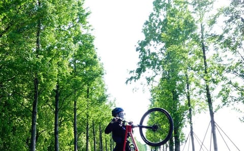 Sunset Cycling Tour at South Taihu Lake from Shanghai