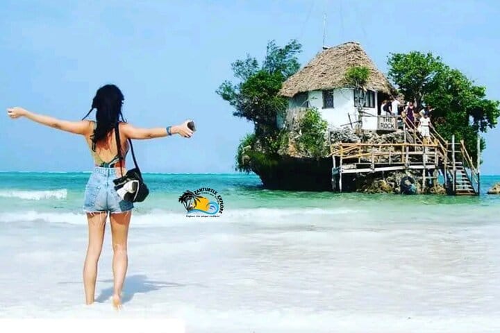 Zanzibar Prison Island, Jozani Forest and Salaam Cave Sea Turtles