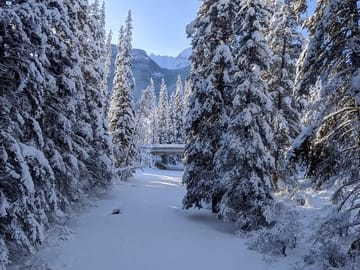 4-Day Private Tour of Banff National Park from Vancouver