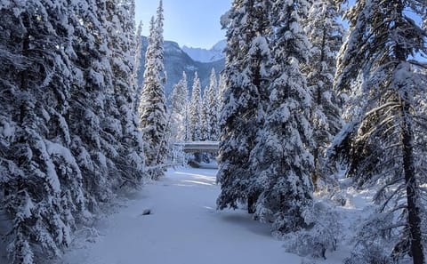 4-Day Private Tour of Banff National Park from Vancouver