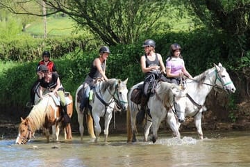 Horseback Riding Tour in Çamyuva, Kemer with Transfers