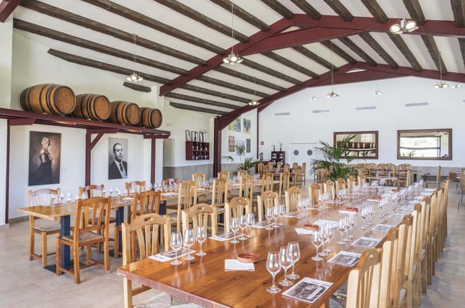 Visit to winery with wine tasting and grilled menu   5