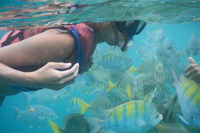 Beach Hopping Snorkeling Discovery in Los Cabos 9