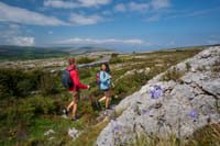 Walk Mullaghmore hill in the Burren, Clare. Private guided. 2 hours 1