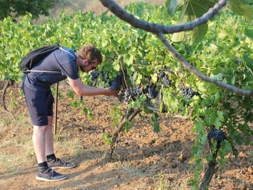 Wine and Food Tour of Berat's Local Wineries