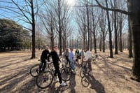 3-Hr Tokyo Bike Tour: Shibuya Highlights, Backstreets/Hidden Gems 6
