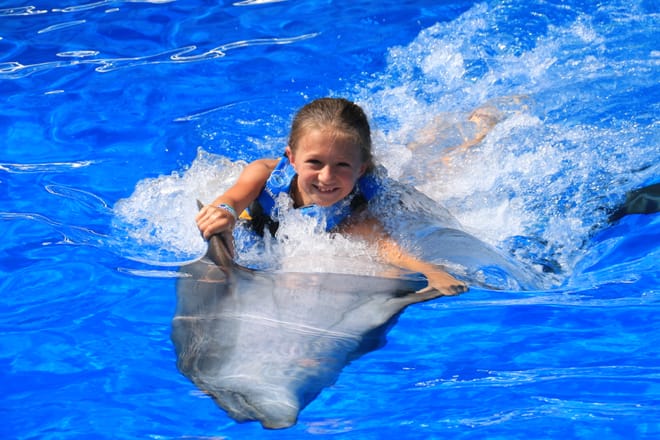 Dolphin Swim Adventure at Gulf World Marine Park photo 3