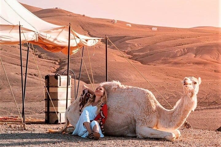 Desert Agafay Camel Ride with Dinner and Sunset