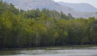 River Trip on Pranburi River 7