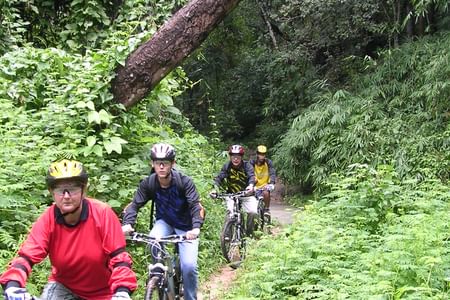 "BIKE 8" 1-Day Rain forest and lake, mountain bike ride, Chiang Mai