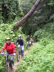 "BIKE 8" 1-Day Rain forest and lake, mountain bike ride, Chiang Mai
