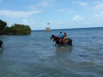 Horseback Riding, ATV Adventure and Zip Lining in Montego Bay