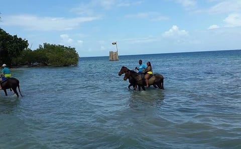 Horseback Riding, ATV Adventure and Zip Lining in Montego Bay