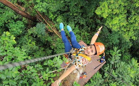 Jungle Climbing and Hiking Adventure in Puerto Iguazú