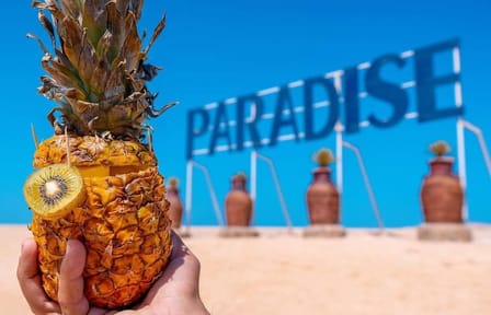 Snorkeling and Boat Tour at Paradise Island, Hurghada