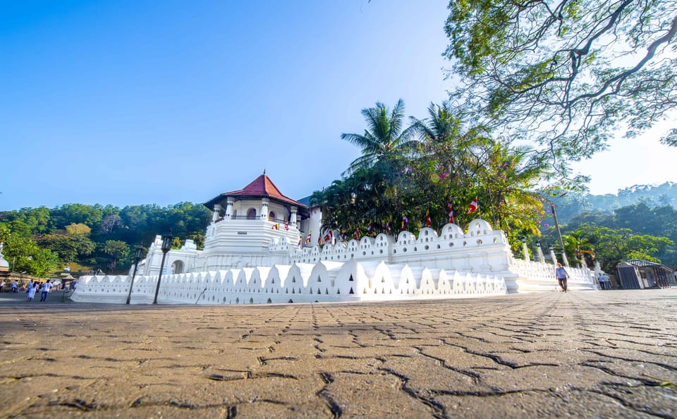 Cultural and Nature Tour of Colombo, Sri Lanka - 5 Days