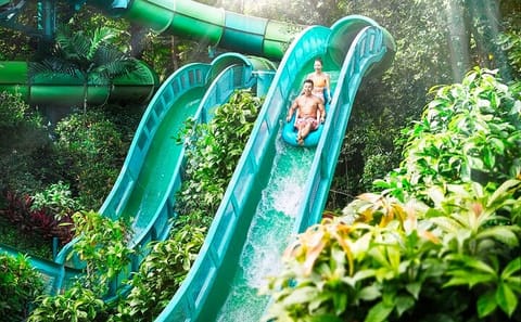 Singapore: Adventure Cove Waterpark Entrance Ticket