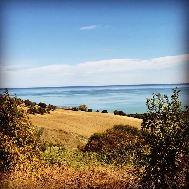 Visita l'azienda agricola Garra  degusta l'olio e i suoi prodotti photo 6