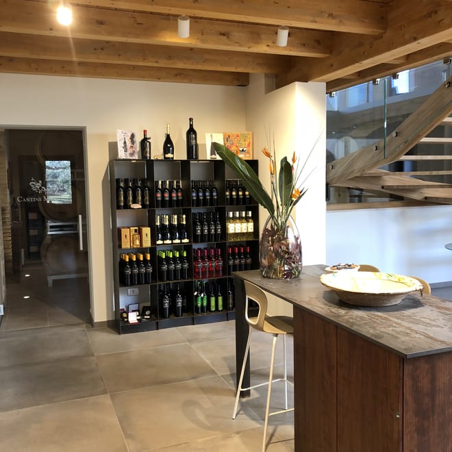 Visit the winery, stroll through the vineyards, taste the Cantine Mucci Wine 7