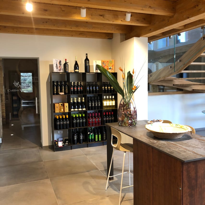 Visit the winery, stroll through the vineyards, taste the Cantine Mucci Wine 7