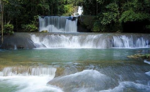 Private Tour of YS Falls and Black River Safari in Jamaica