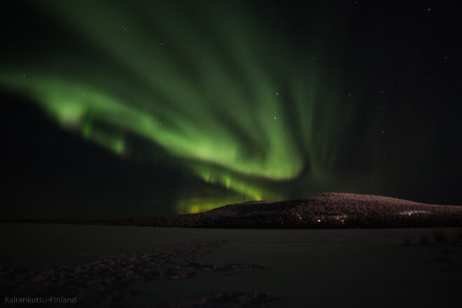 Northern Lights Workshop: Arctic Nature & Sky 6